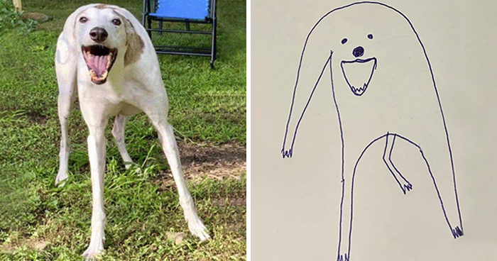 Esta persona intentó dibujar a su perro y sin querer comenzó a crear obras maestras