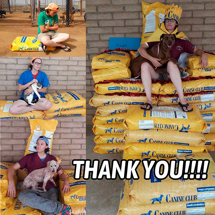 Animal Shelter Employee Asks People To Donate Dog Food For Her Birthday, Builds A Giant Throne Out Of It