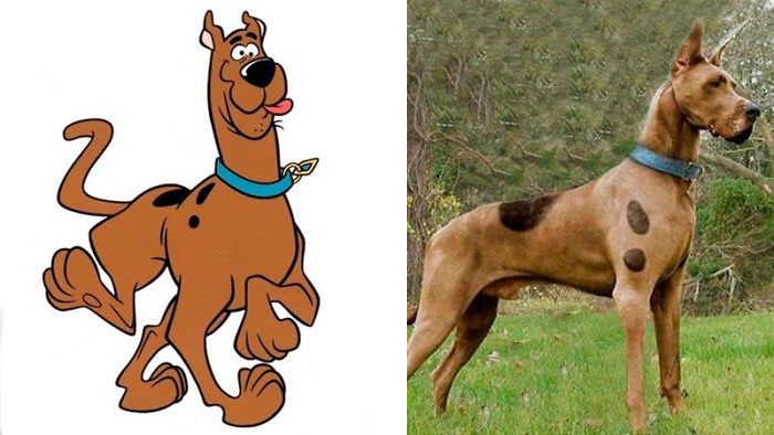 Scooby-Doo-Look-A-Likes