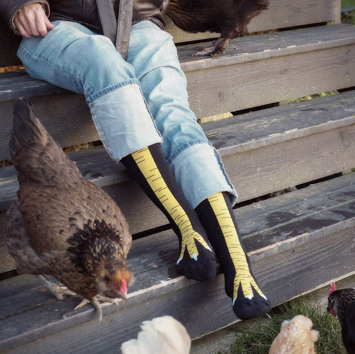 Existen los calcetines de pata de pollo y son graciosísimos (19 imágenes)