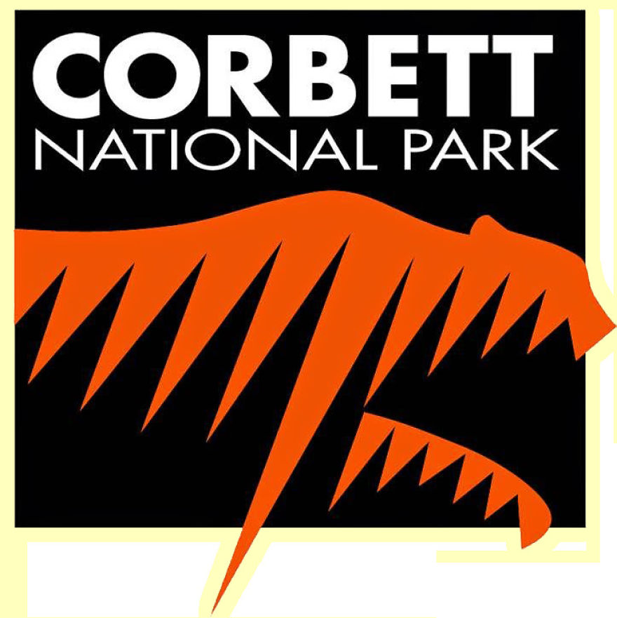 My Wildlife Experience In Corbett Tiger Reserve My Wildlife Experience In Corbett Tiger Reserve