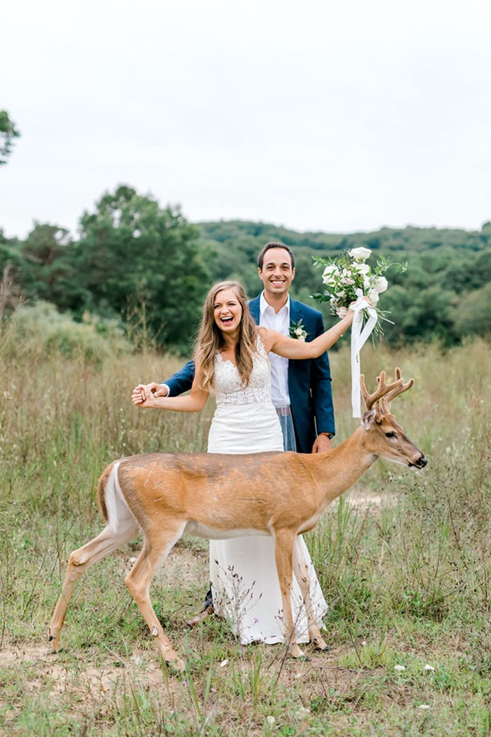 Wedding Photo Shoot Gets Interrupted By A Deer, Results In 15 Funny And Adorable Pictures
