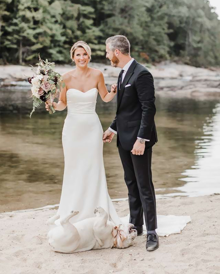 Dog Refuses To Take His Owners' Wedding Day Seriously, Steals The Whole Show