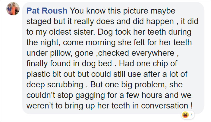 Family Spends Hours Looking For Grandma‘s Lost Dentures Only To Find Them In Their Dog's Mouth