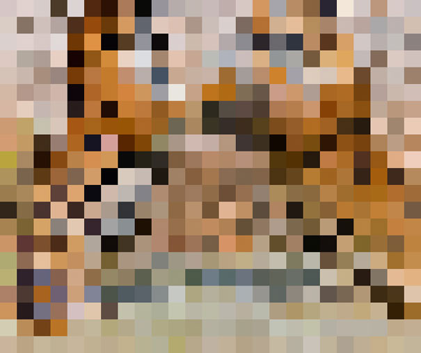 Estas 22 imágenes están compuestas de tantos píxeles como animales quedan de las especies que muestran