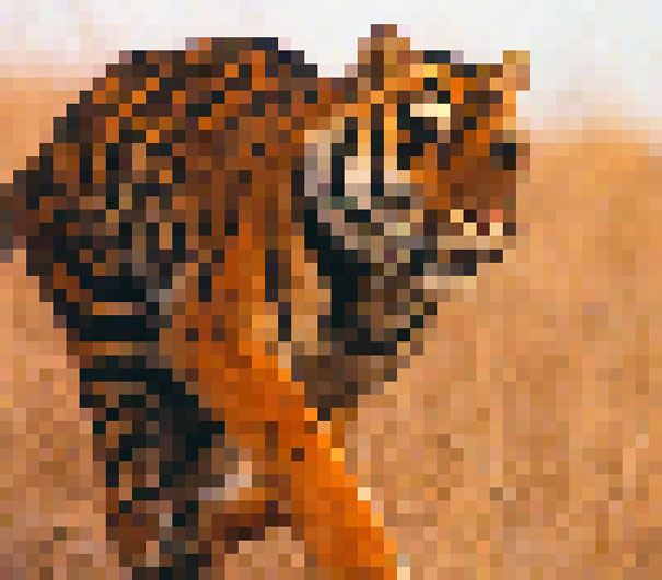 Estas 22 imágenes están compuestas de tantos píxeles como animales quedan de las especies que muestran