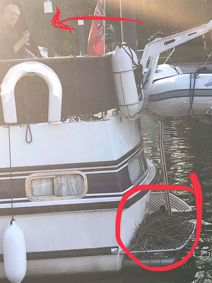This Man Won’t Take His Boat Out Because The Duck Has Nested On His Boat And Is Waiting For The Eggs To Hatch