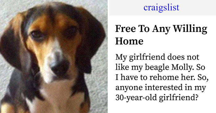 30 Of The Funniest And Strangest Ads Ever Seen On Craigslist