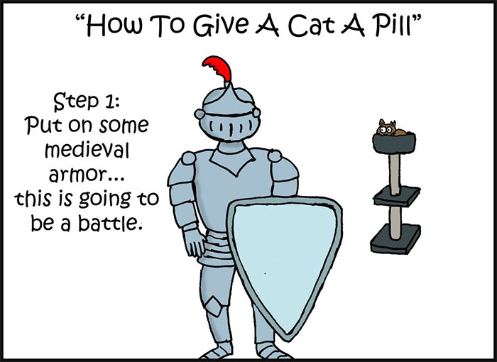 10-Step Guide Goes To Absurd Lengths Explaining How To Make A Cat Take A Pill, And It's Hilarious
