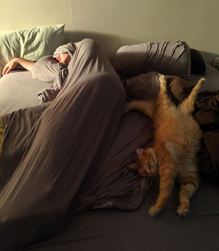 Everybody's Got These Great Pictures Of Their People Sleeping With Their Pets And I'm Over Here Stuck With This Mess