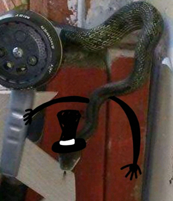 Fedora Snake