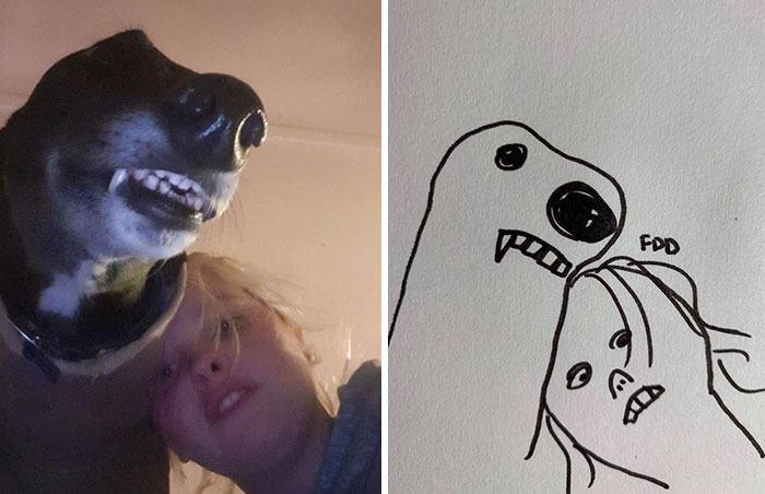 Person Tries Drawing His Dog, Accidentally Starts Creating Masterpieces
