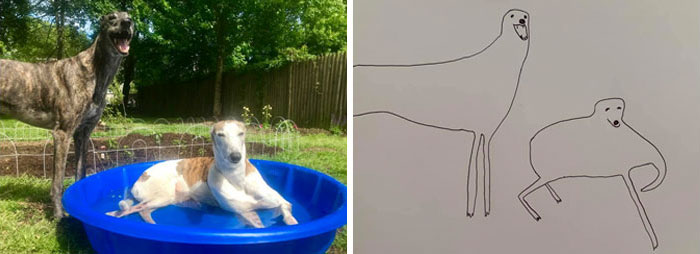 Person Tries Drawing His Dog, Accidentally Starts Creating Masterpieces