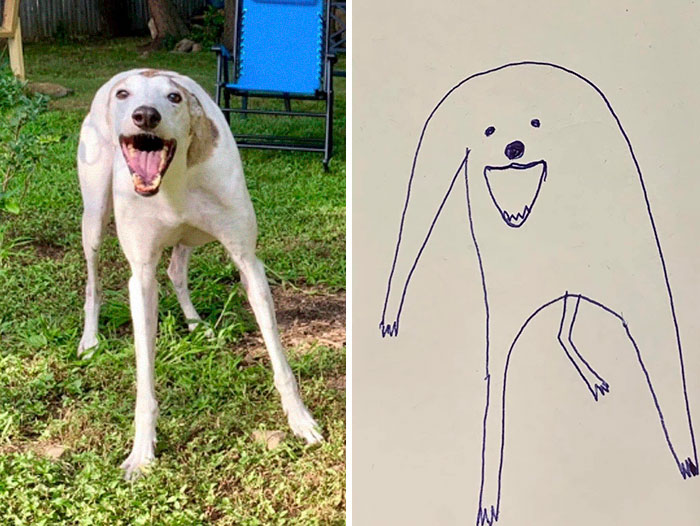 Person Draws His Dog, Accidentally Creates Masterpieces | Bored Panda