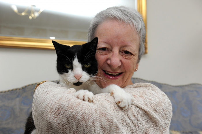 Tom, A 24-Year-Old Cat Who Discovered His Owner's Cancer