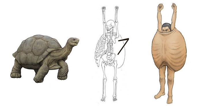 Japanese Illustrator Shows How Humans Would Look If We Had Various Animals’ Bone Structures (14 Pics)