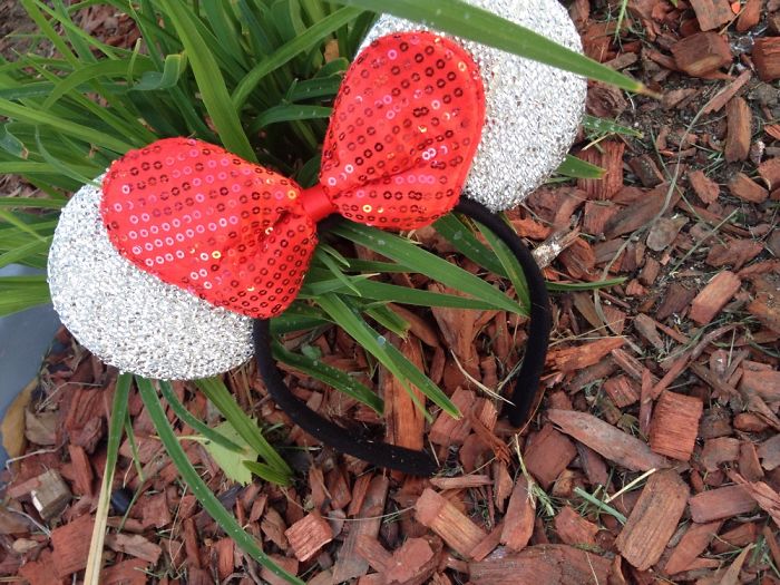 If Minnie Mouse Ears Had An Instagram