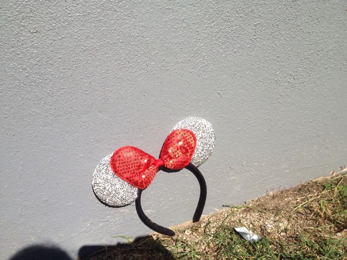 If Minnie Mouse Ears Had An Instagram