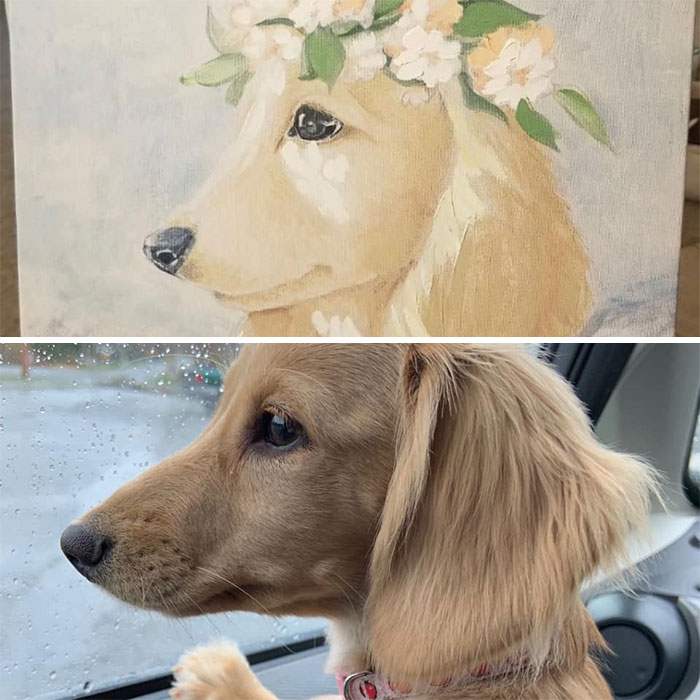 The Top Is A Random Painting I Bought, The Bottom Is My Dog, Applesauce. I Had To Buy The Painting, The Resemblance Is Uncanny!