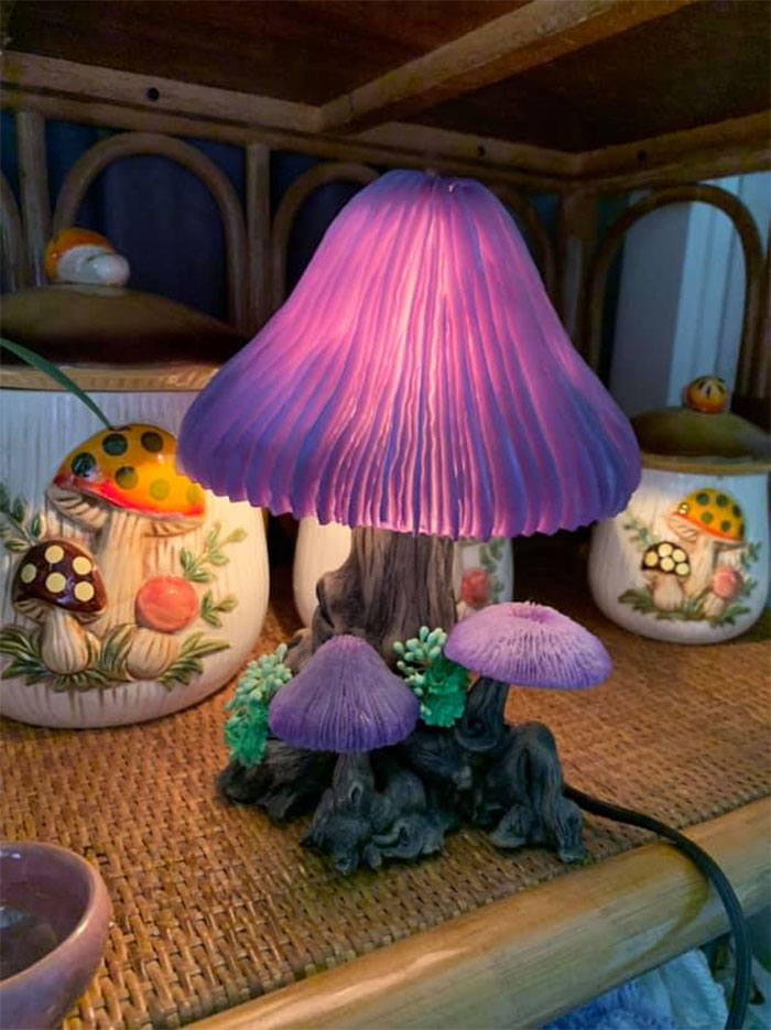 Finally Found A Mushroom Lamp Today! I Am In Love