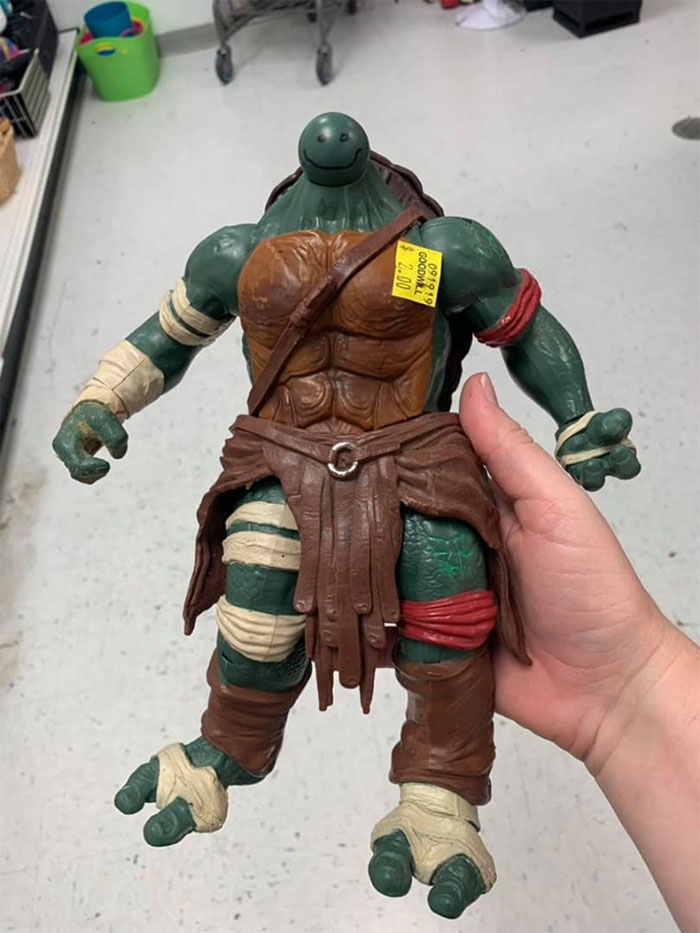 When You Loose The Head On Your Ninja Turtle... Improvise !