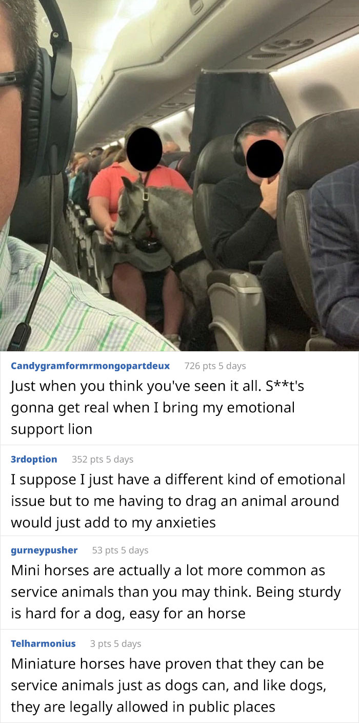 People Are Saying That These People Have Gone Too Far With Their Emotional Support Animals Others Disagree 17 Pics Bored Panda
