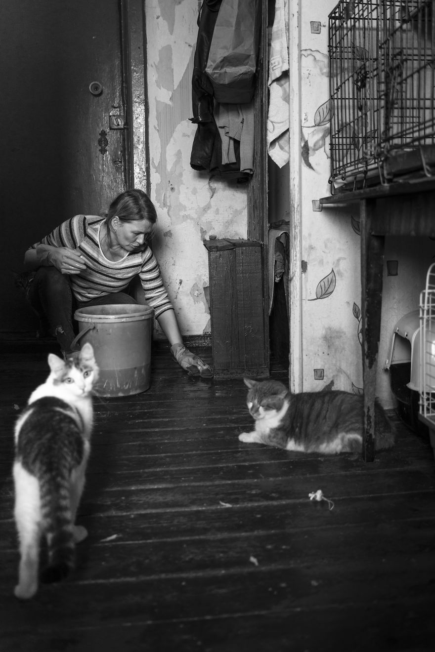 I Capture A Heartbreaking Story About A Woman That Dedicated Her Life To Stray Cats Despite Her Own Hardships