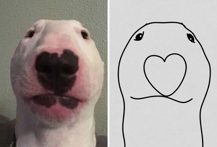This Twitter Account Posts 'Poorly Drawn Animals' And Here Are 37 Of The  Funniest Ones | Bored Panda