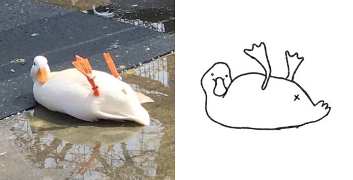 This Twitter Account Posts 'Poorly Drawn Animals' And Here Are 37 Of The  Funniest Ones | Bored Panda