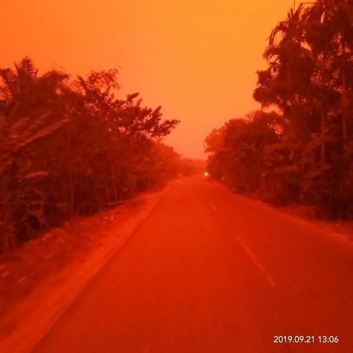 Indonesian Forests Are Burning And People Are Alarmed By Red-Blood Sky
