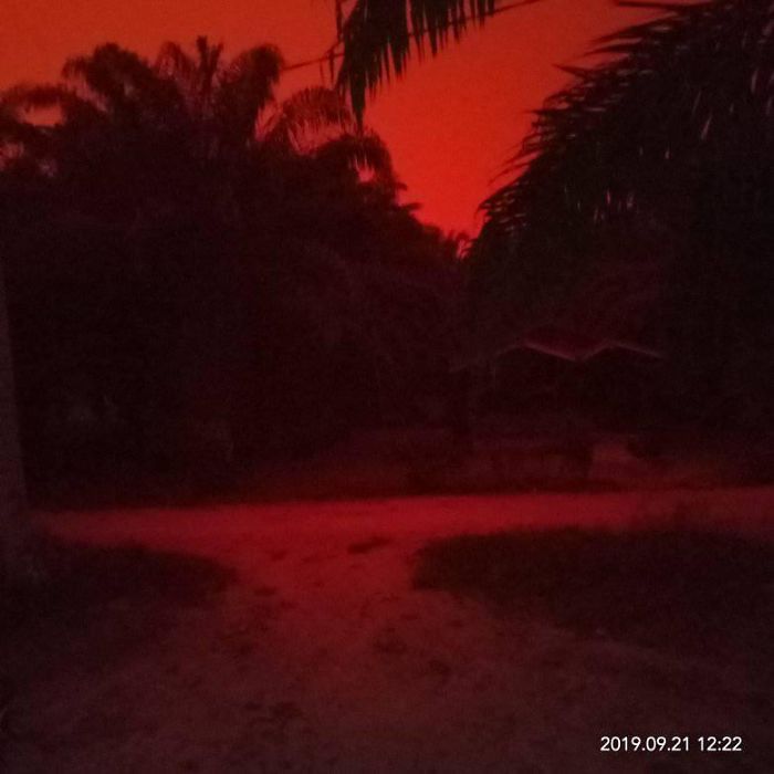 Indonesian Forests Are Burning And People Are Alarmed By Red-Blood Sky