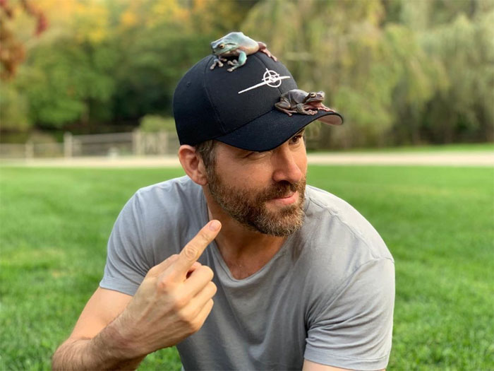 Ryan Reynolds Proves He's Incapable Of Not Being Cheeky As He Posts Animal Pics And Still Manages To Troll John Krasinski