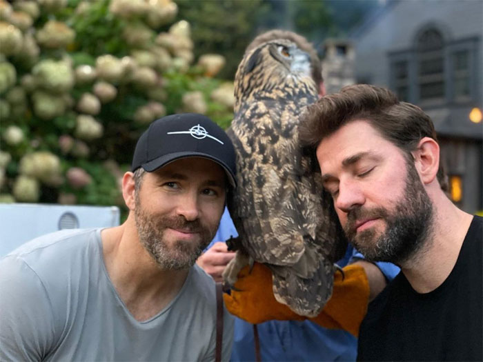 Ryan Reynolds Proves He's Incapable Of Not Being Cheeky As He Posts Animal Pics And Still Manages To Troll John Krasinski