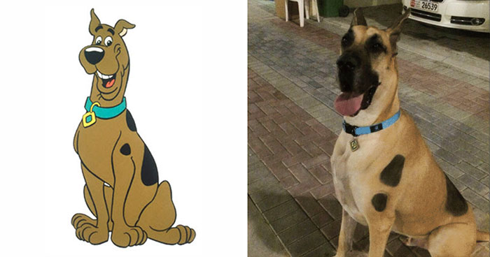 24 Scooby-Doo Lookalikes Just In Time For The Show’s 50 Year Anniversary