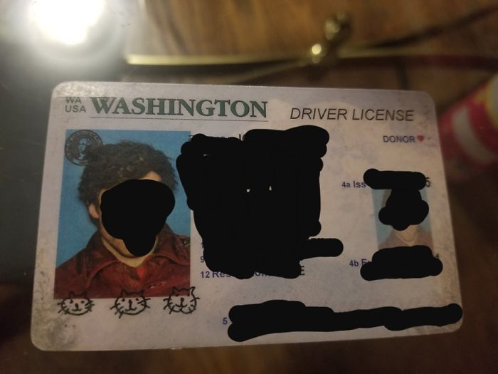 Guy Draws Cat Heads As A Joke Signature On His ID, Realizes He Made A Mistake When He Has To Sign Mortgage Papers Years Later