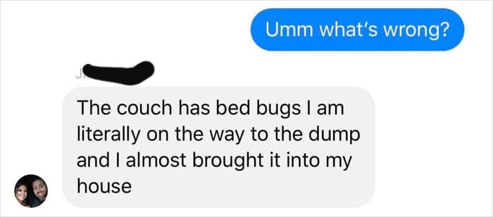 "Single Mom" Tries To Scam Person She Bought A Couch From With Fake Bed Bug Pics, Gets Owned