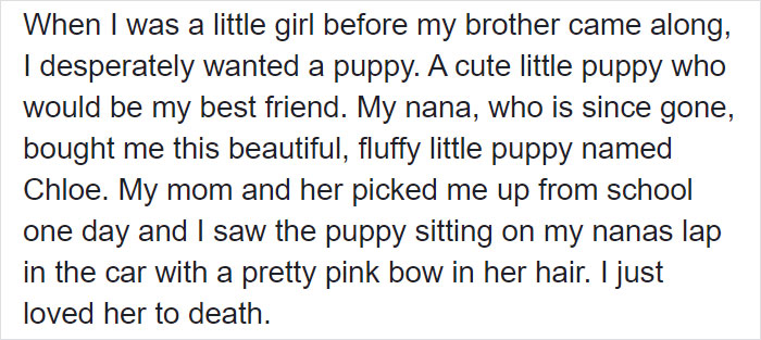 Woman Adopts A Senior Dog Because She Looked Like Her Childhood Puppy, Realizes It's The Same Dog
