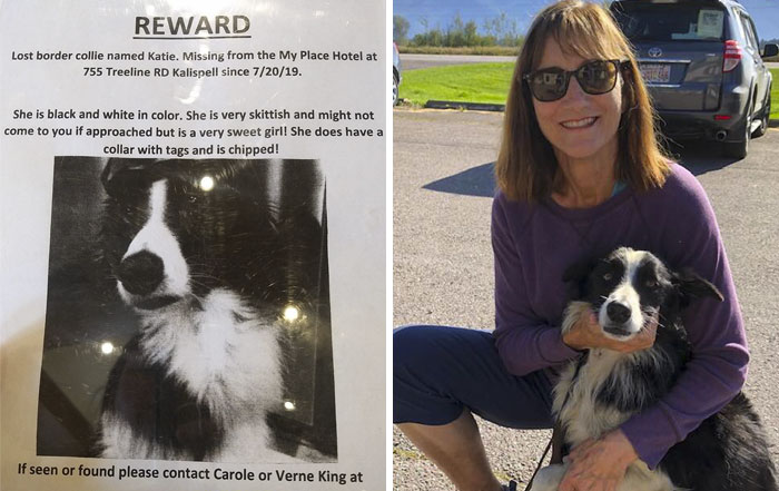 Woman Quits Her Job And Spends 57 Days Looking For Her Lost Dog, Finally Finds Her In Another State