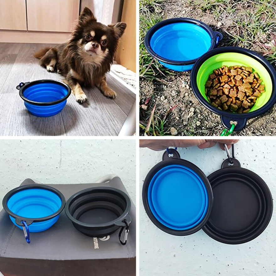 Companies Create Utensils For Our Lovely Pets And You Will Want Some For Yours