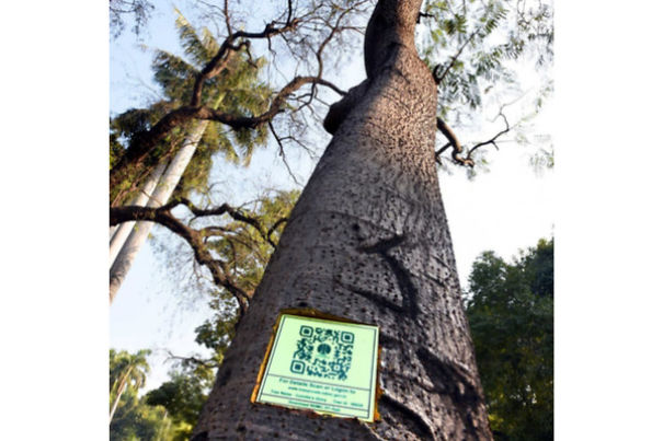 8 Epic Uses Of Qr Codes That I Found Out Today