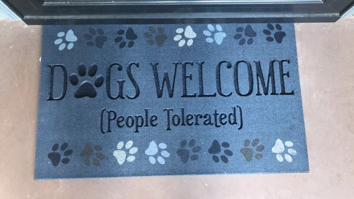Perros bienvenidos (Personas toleradas)