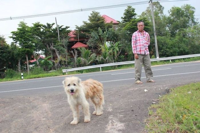 Dog Waits 4 Years In The Same Spot Until He Finally Gets Reunited With Owners Who Lost Him
