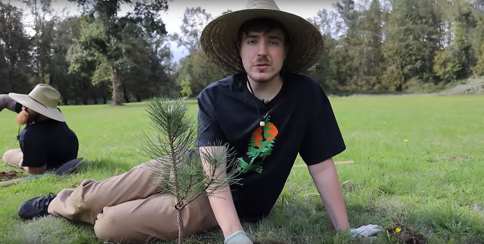 600 YouTubers Pledge To Plant Million Trees Fight Climate Change | Bored Panda