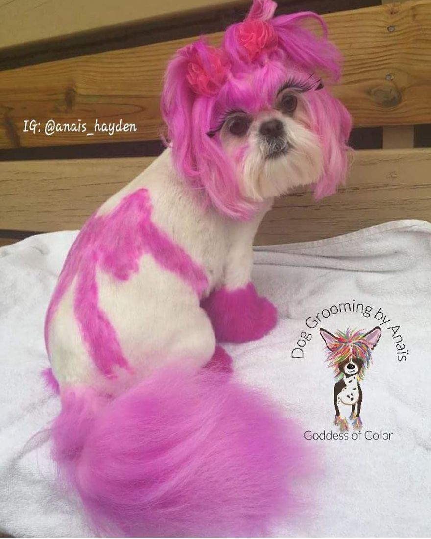 They Are Turning Dogs Into Lovely Mystical Creatures And The Result Is Amazing