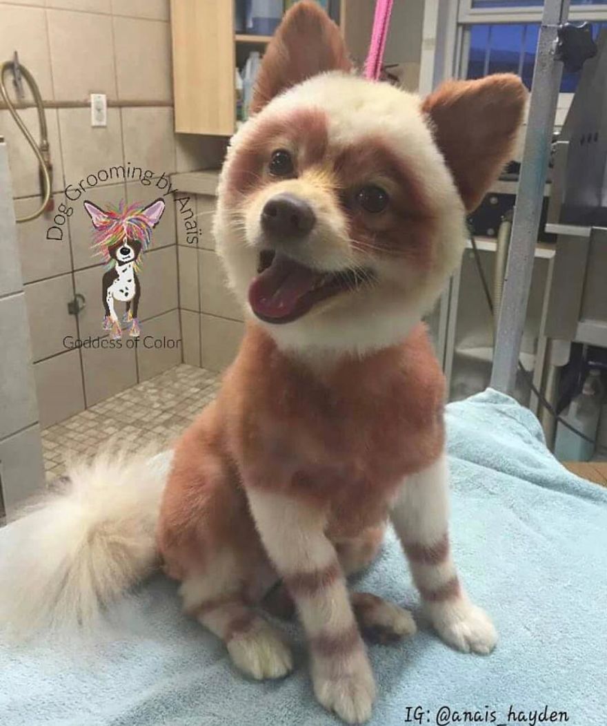 They Are Turning Dogs Into Lovely Mystical Creatures And The Result Is Amazing
