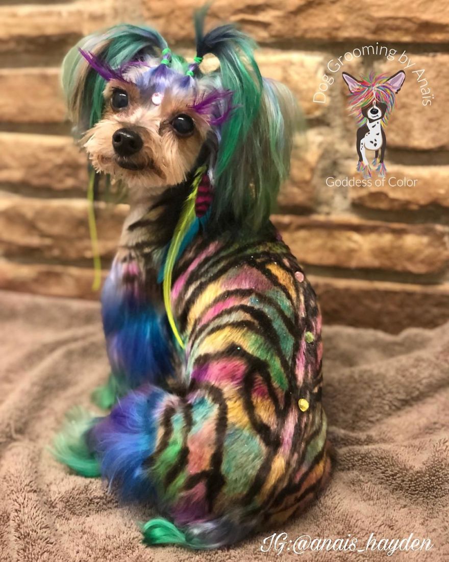 They Are Turning Dogs Into Lovely Mystical Creatures And The Result Is Amazing