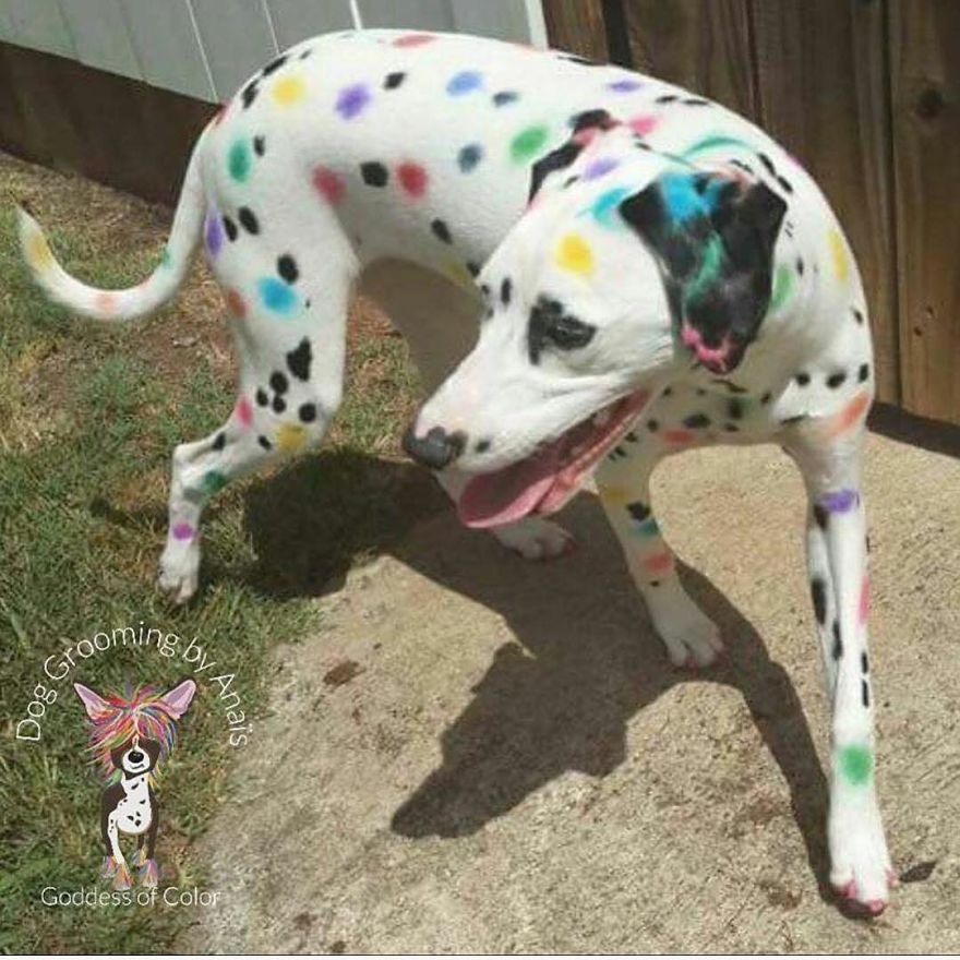 They Are Turning Dogs Into Lovely Mystical Creatures And The Result Is Amazing