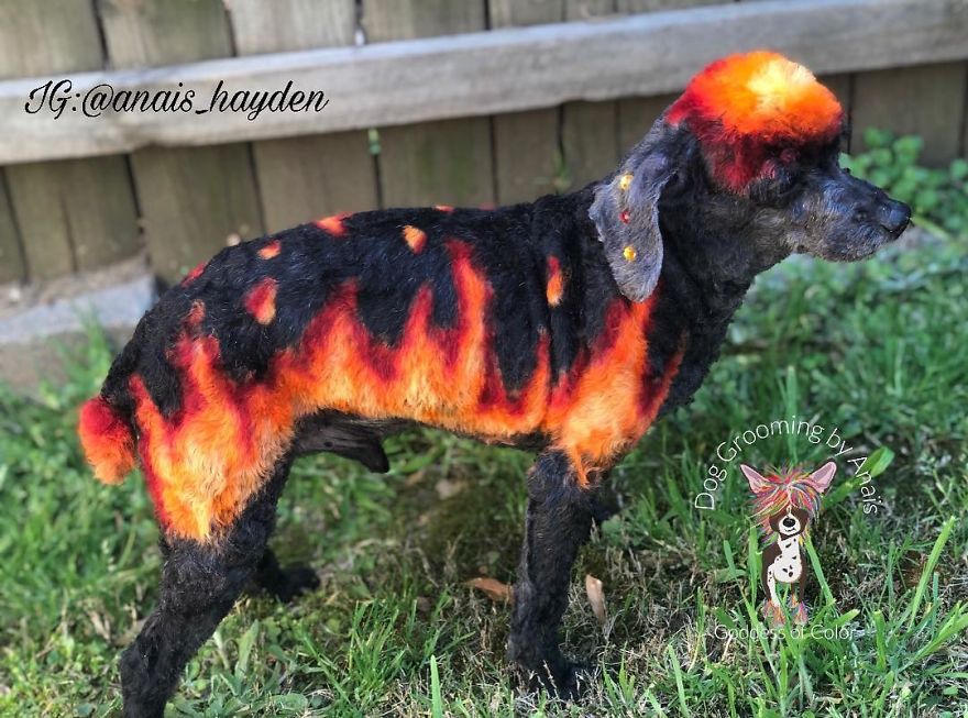 They Are Turning Dogs Into Lovely Mystical Creatures And The Result Is Amazing