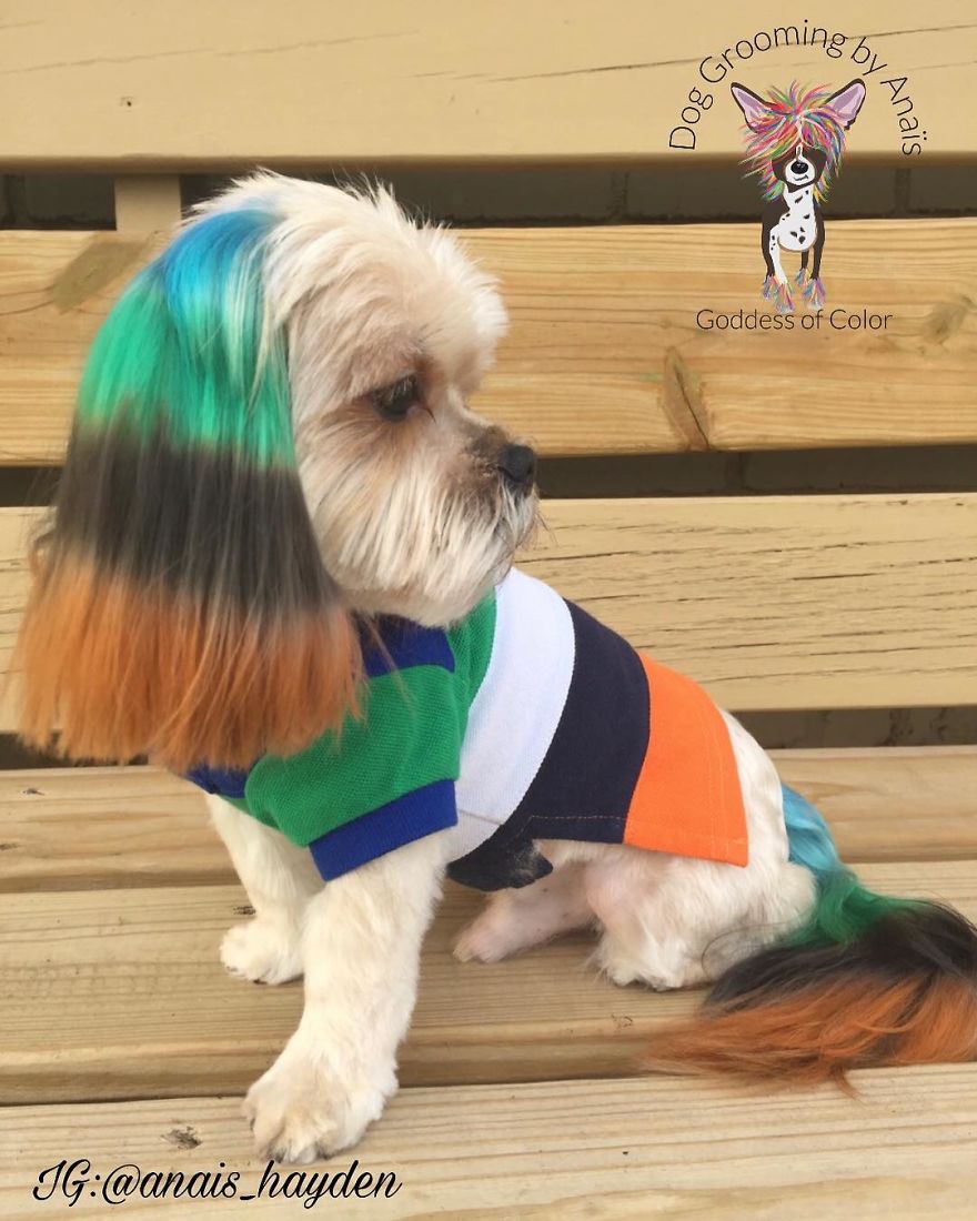 They Are Turning Dogs Into Lovely Mystical Creatures And The Result Is Amazing