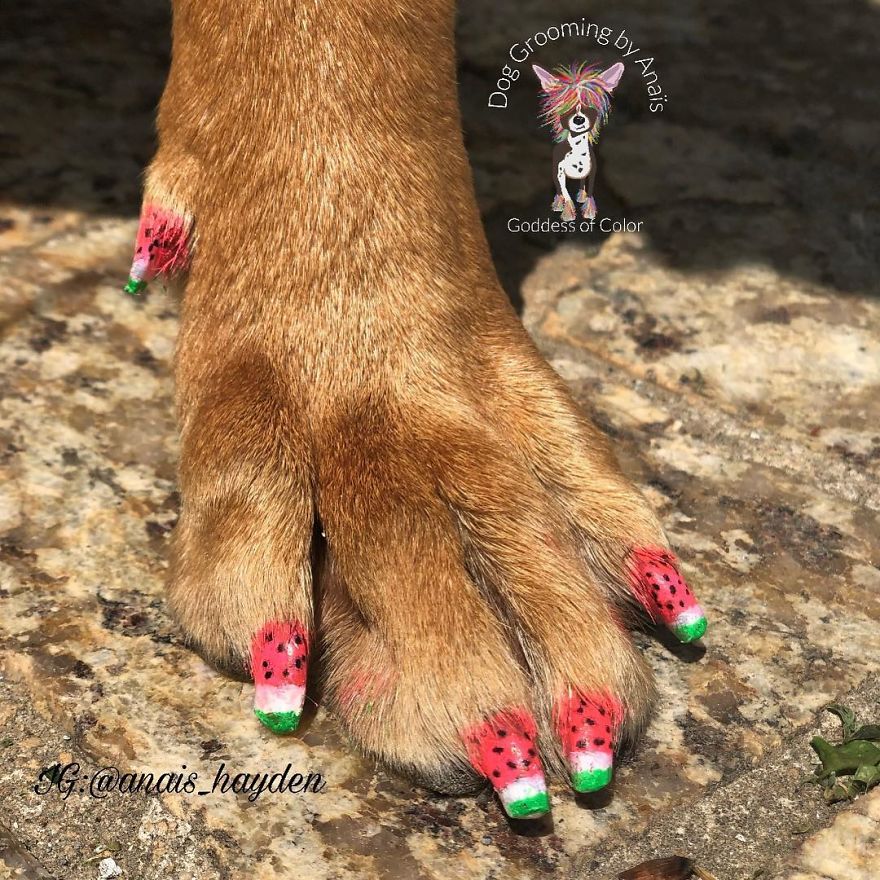 They Are Turning Dogs Into Lovely Mystical Creatures And The Result Is Amazing